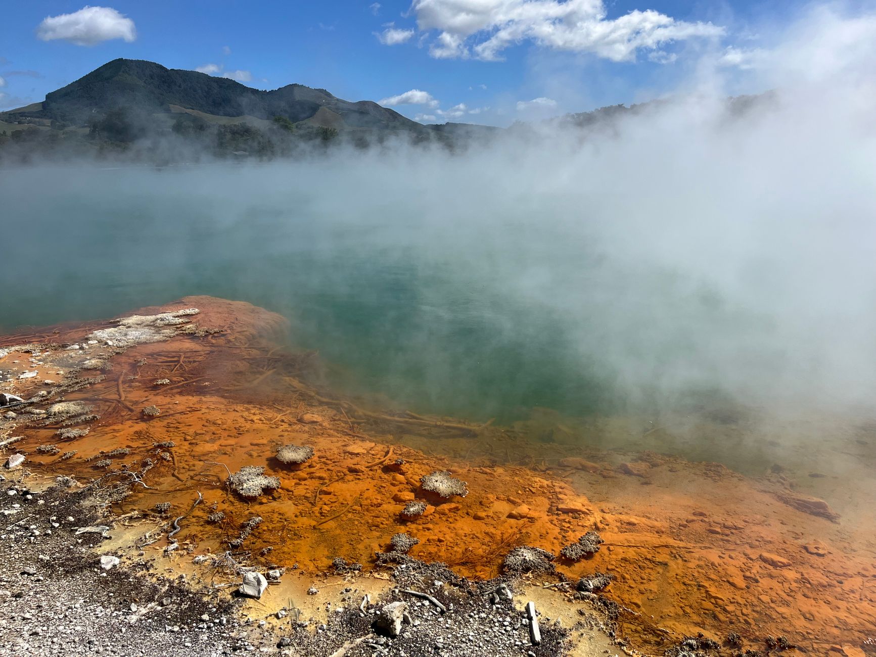 Rotorua volcanic steam pools or mud pools